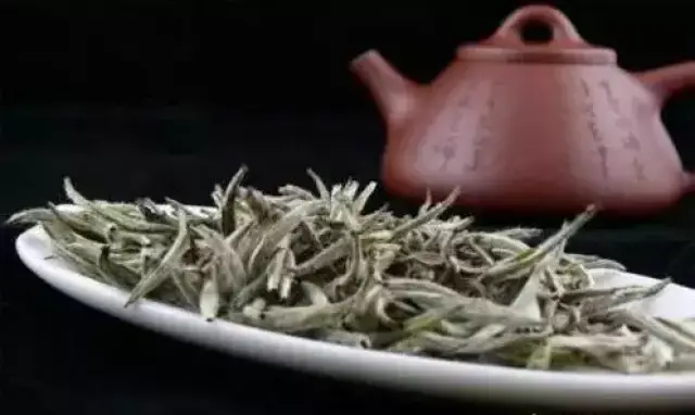 聚焦茶产业全链发展探索传统茶“年轻化”