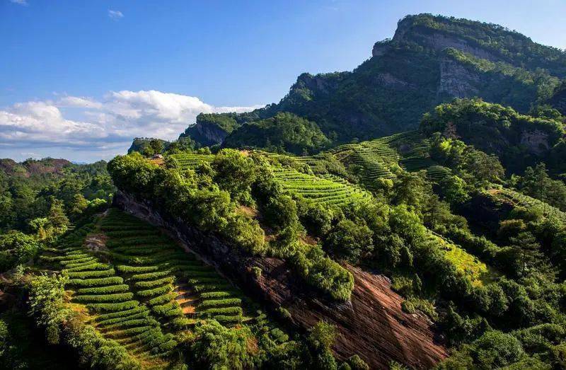 人民日报头版点赞福建武夷山(图2)