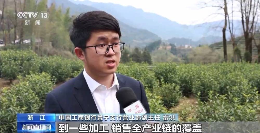 绿茶生产交易进入高峰期 “明前茶”集中上市 有何特点？(图9)