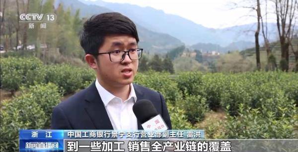 绿茶生产交易进入高峰期 “明前茶”集中上市有何特点(图9)