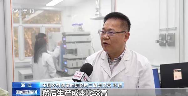 绿茶生产交易进入高峰期 “明前茶”集中上市有何特点(图13)