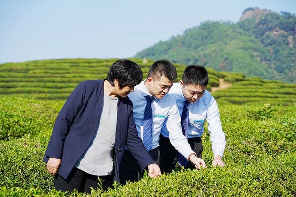 第十三届勐海（国际）茶王节将于5月16日至19日举办