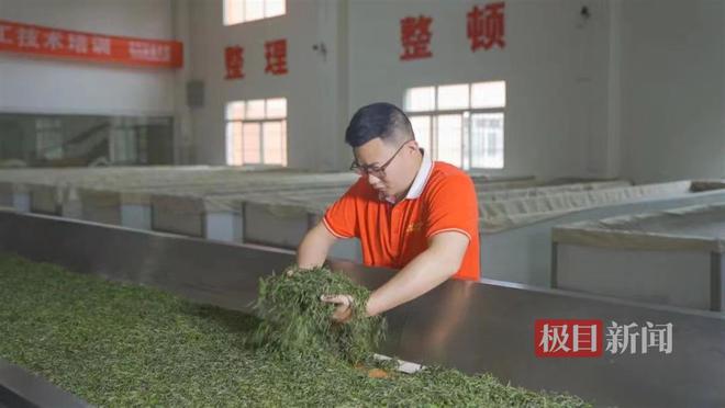 im电竞：湖北利川“95后”茶艺师：传统技艺需要年轻人来传承(图1)