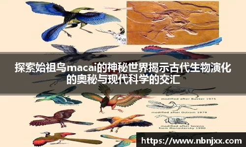 乐虎lehu唯一